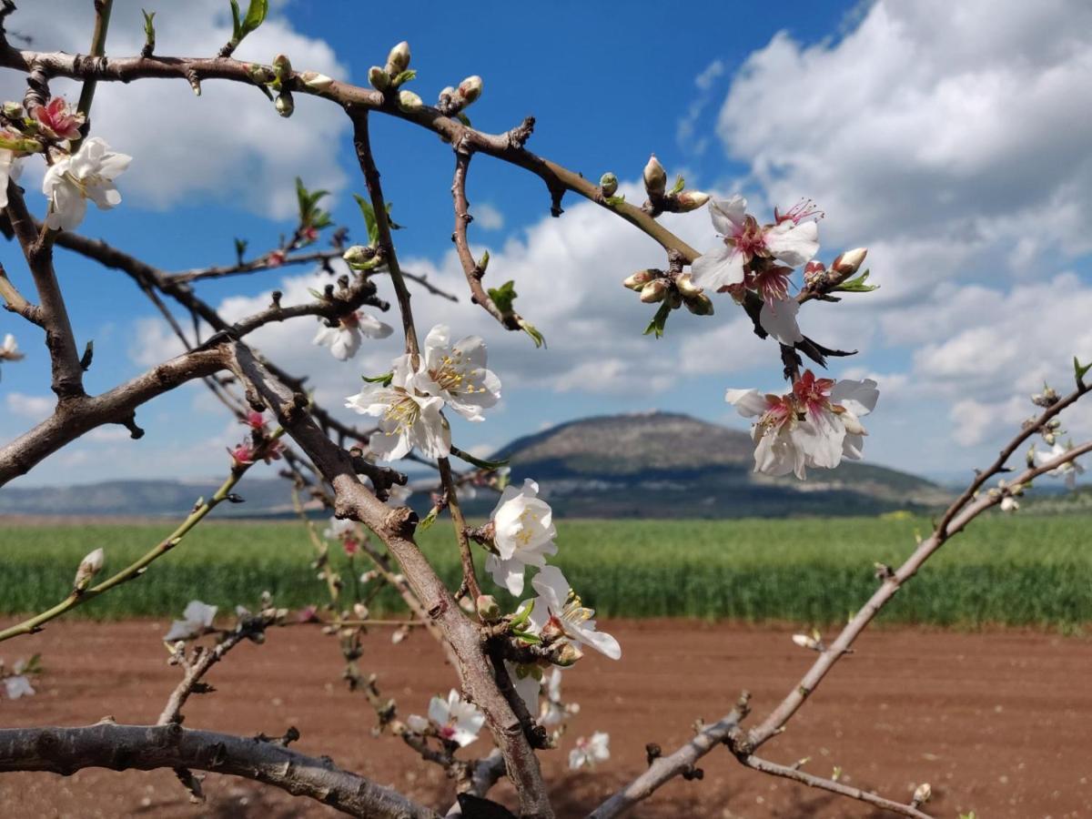 Galilee Best Location 'En Dor Eksteriør billede